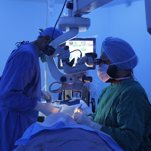 State-of-the-art equipment